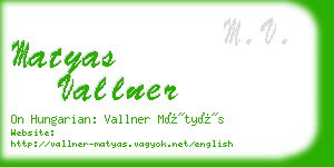 matyas vallner business card